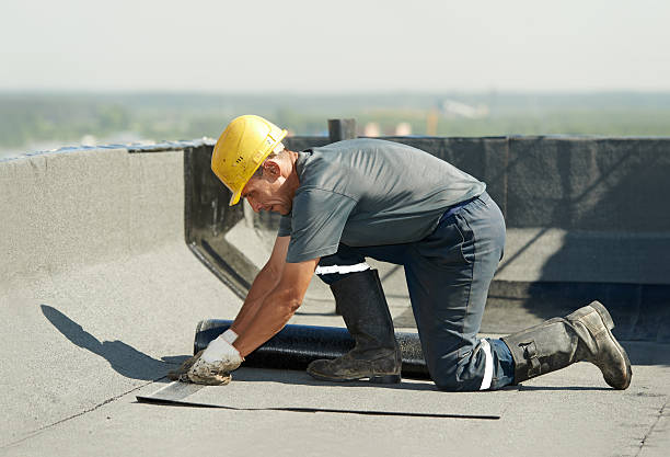 Best Specialized Insulation Services in Coal City, IL